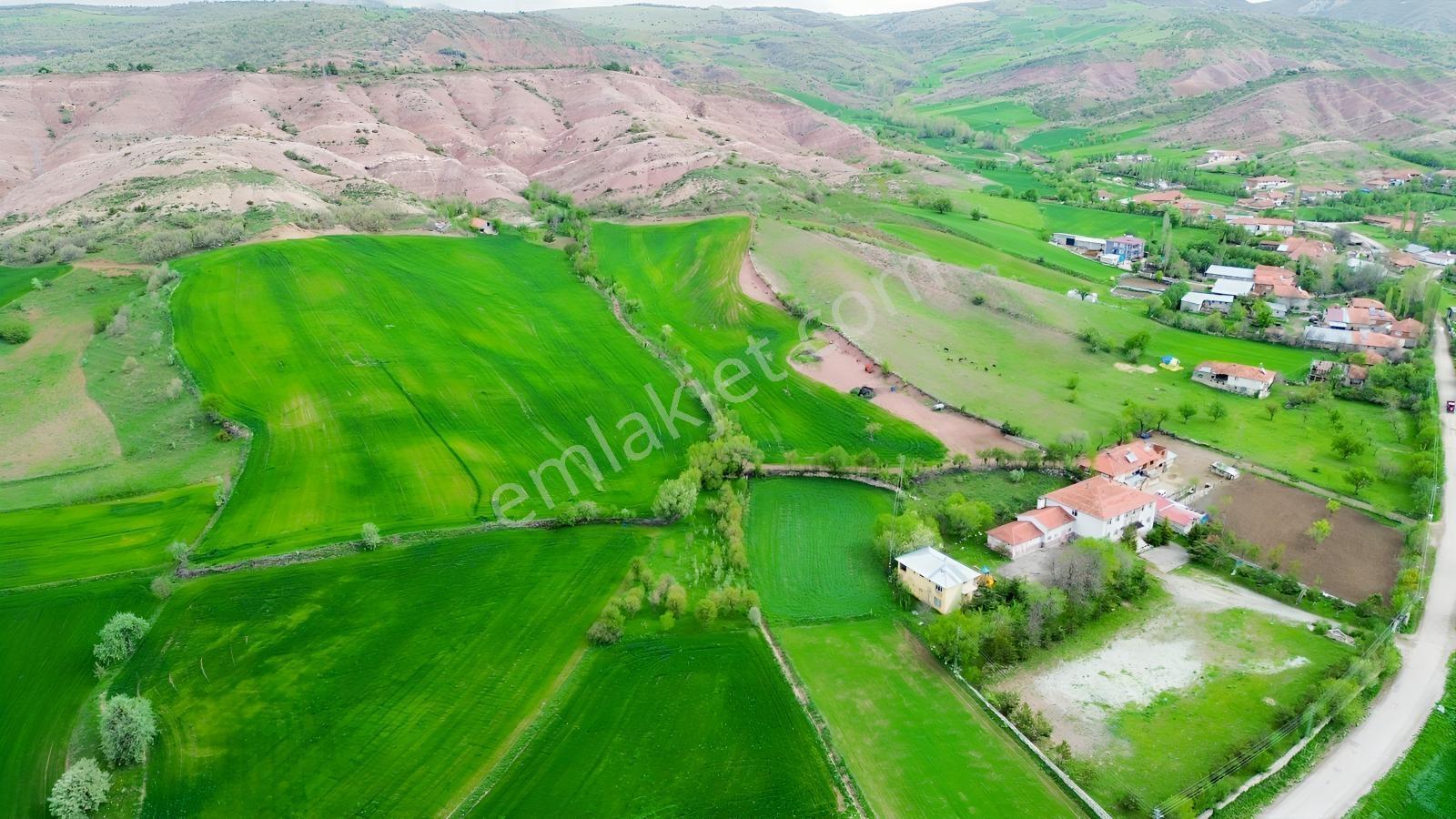 Tokat Artova Ağmusa Mahallesin De 4.851 M² Müstakil Tapulu Tarla — fotoğraf 6