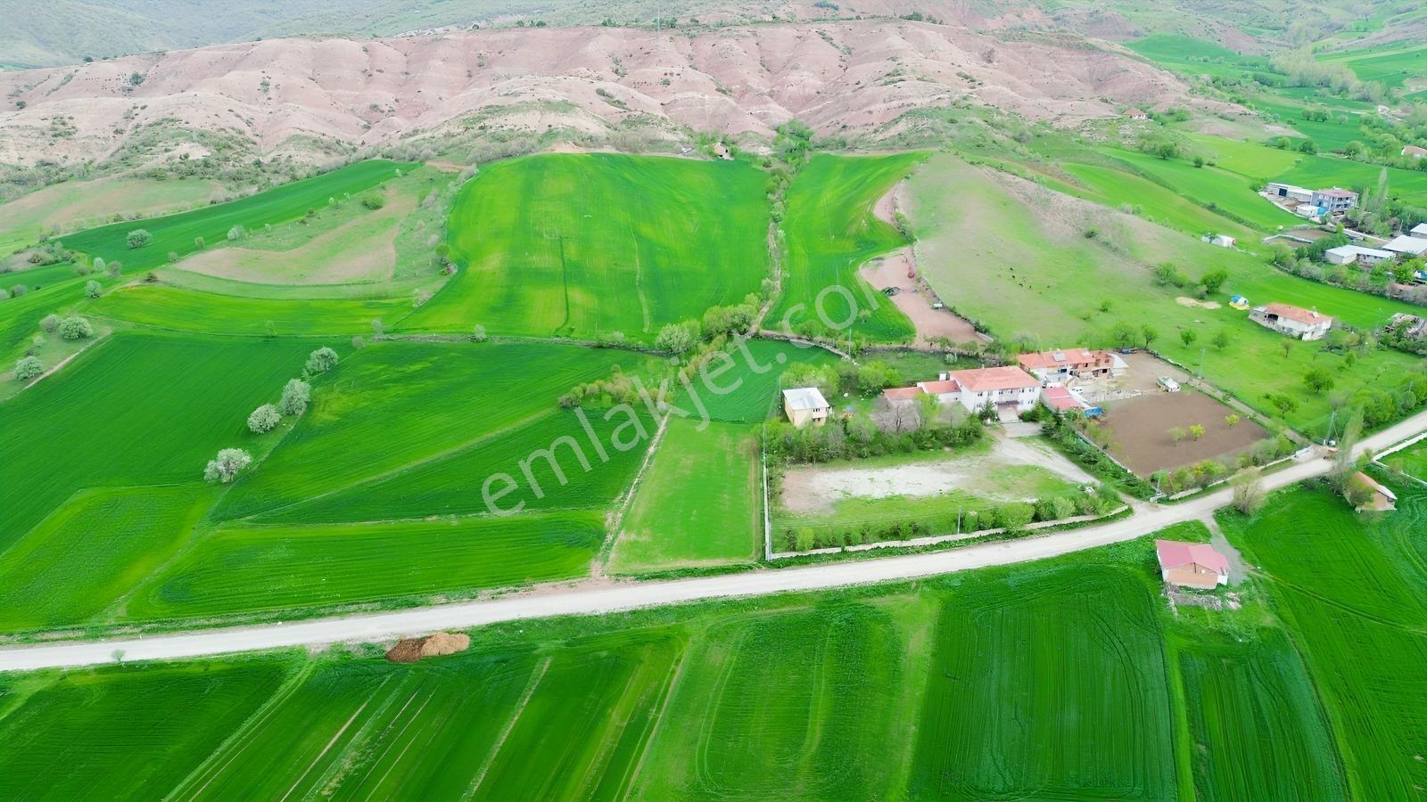 Tokat Artova Ağmusa Mahallesin De 4.851 M² Müstakil Tapulu Tarla — fotoğraf 7