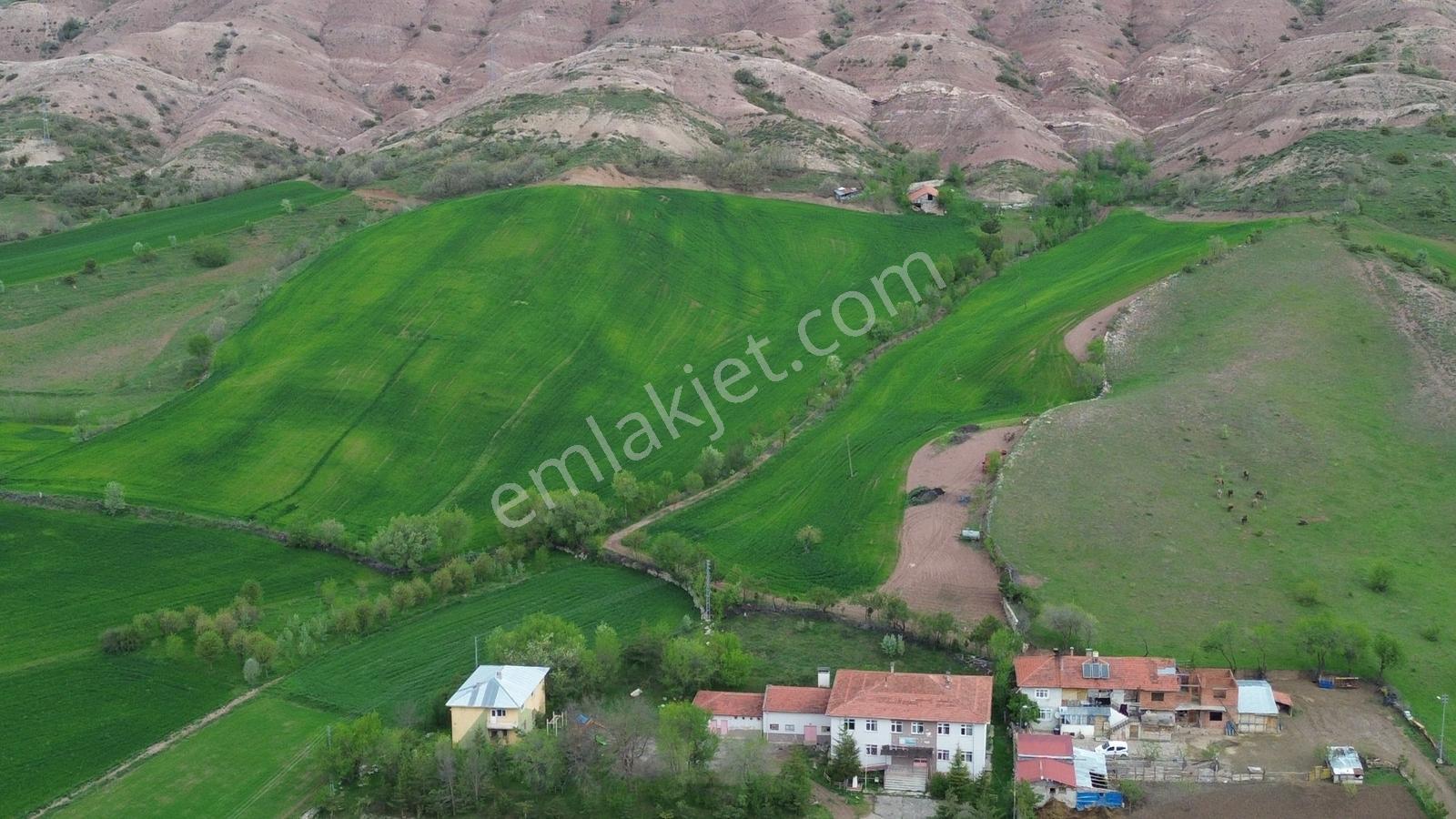 Tokat Artova Ağmusa Mahallesin De 4.851 M² Müstakil Tapulu Tarla — fotoğraf 8