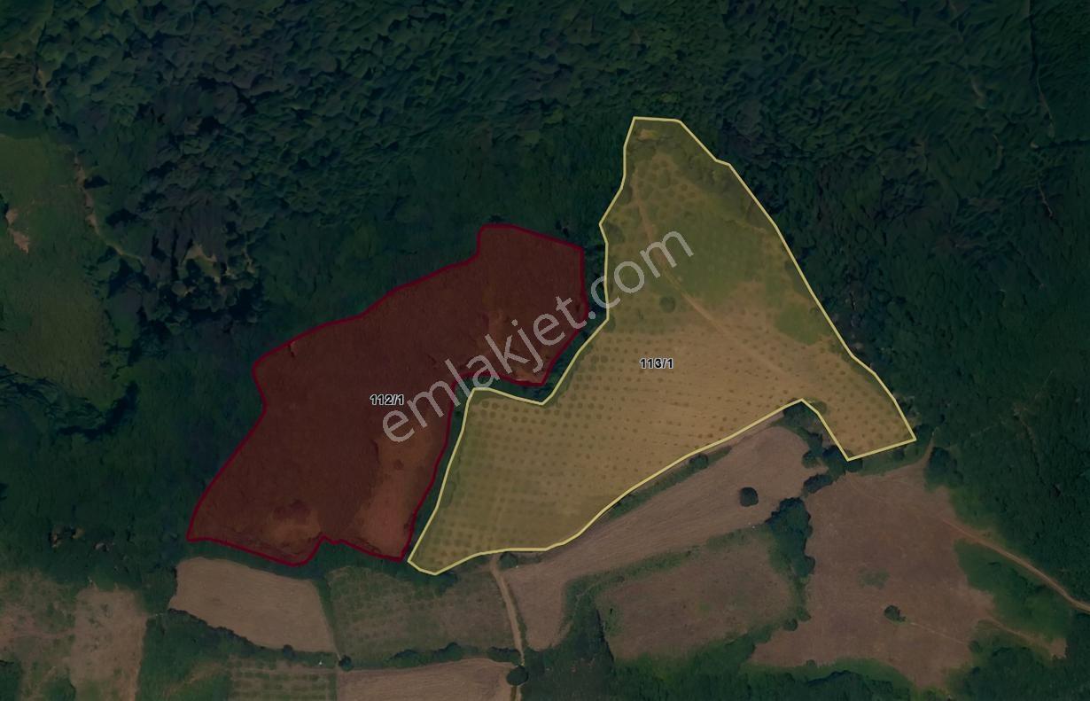 Tapugo'dan Atakum Özörende Kapanmaz Deniz Manzaralı 16.828 M2 — fotoğraf 2