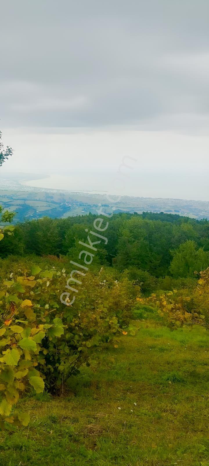 Tapugo'dan Atakum Özörende Kapanmaz Deniz Manzaralı 16.828 M2 — fotoğraf 6
