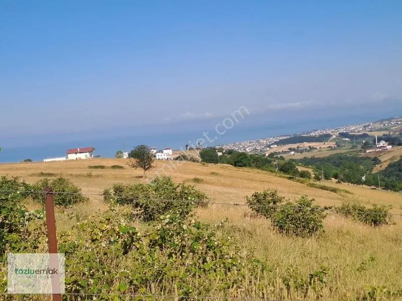 Tozluemlak'tan Atakumda Köşe Parsel Satılık Arsa — fotoğraf 7