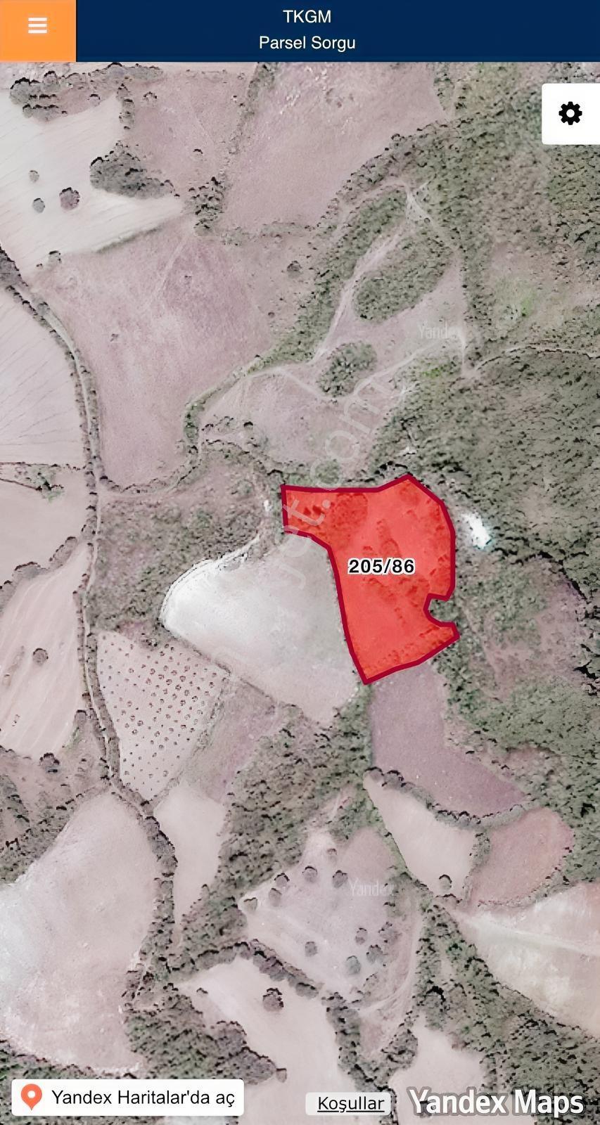 Balcity - Savaştepe Madenmezarı Resmi Yola Cephe 7.833 M2 Tarla — fotoğraf 5