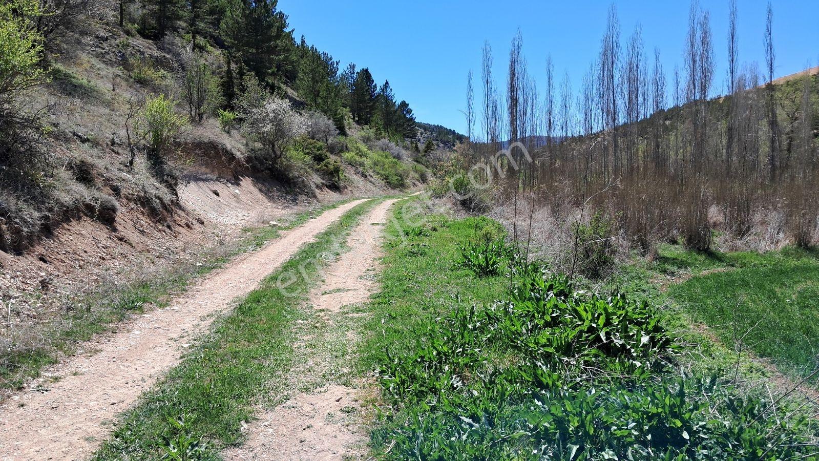 Başarakavak'Ta Dere Kenarı 3068M2 Satılık Bahçe