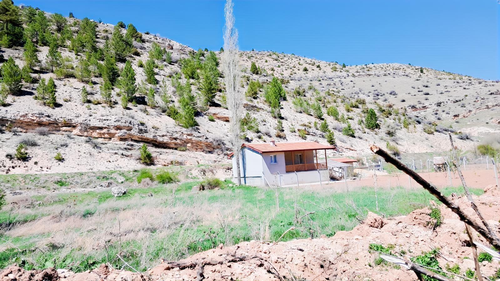 Başarakavak'ta Dere Kenarı 3068m2 Satılık Bahçe — fotoğraf 2