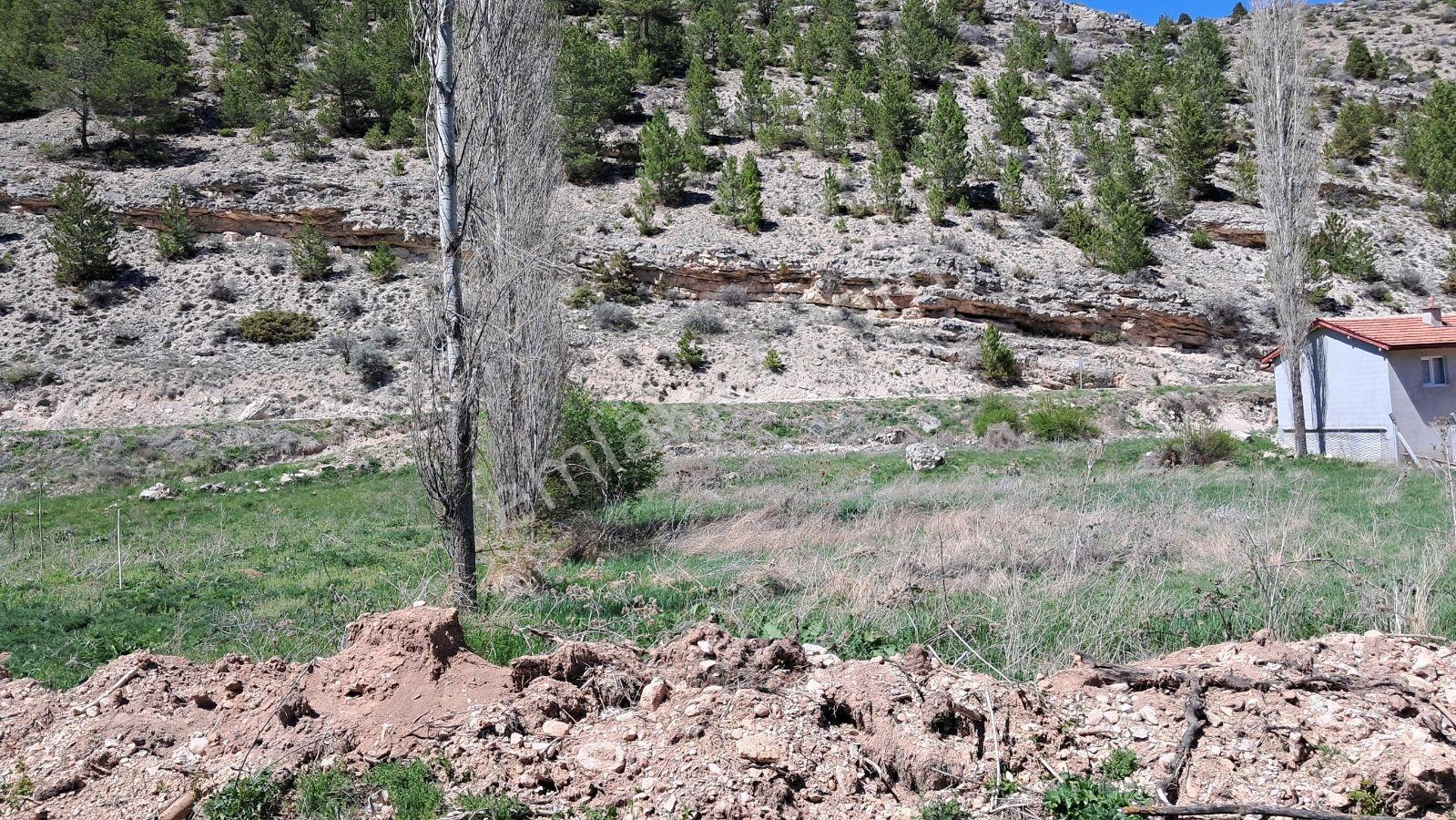 Başarakavak'ta Dere Kenarı 3068m2 Satılık Bahçe — fotoğraf 3