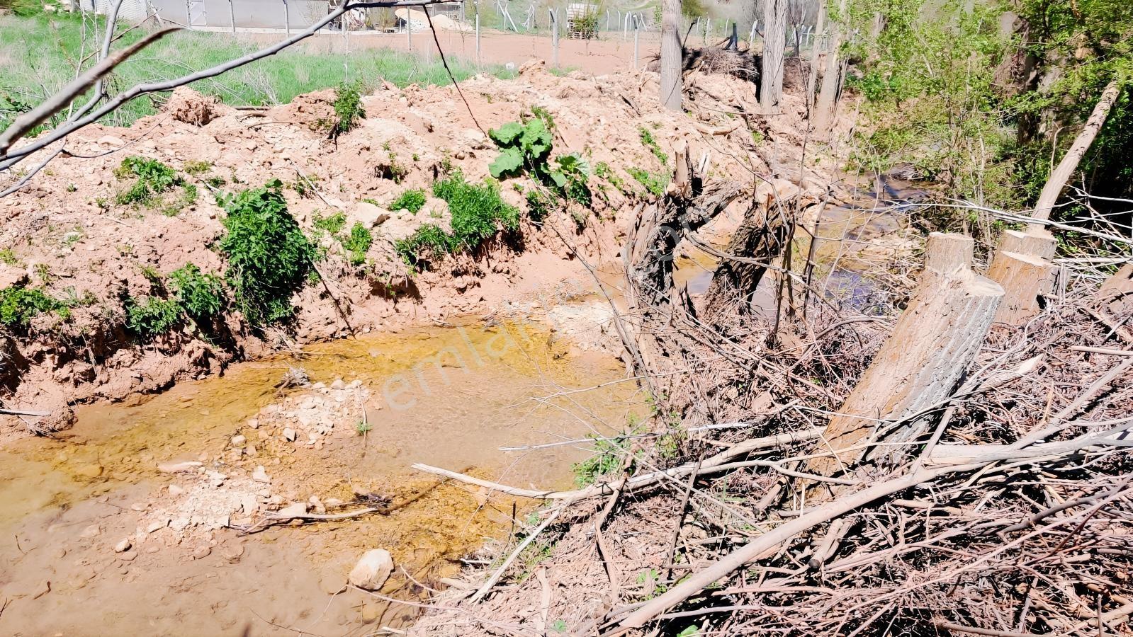 Başarakavak'ta Dere Kenarı 3068m2 Satılık Bahçe — fotoğraf 5
