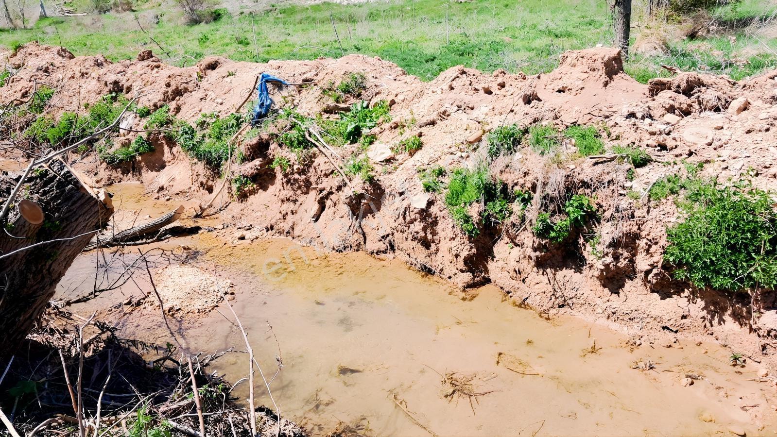 Başarakavak'ta Dere Kenarı 3068m2 Satılık Bahçe — fotoğraf 6