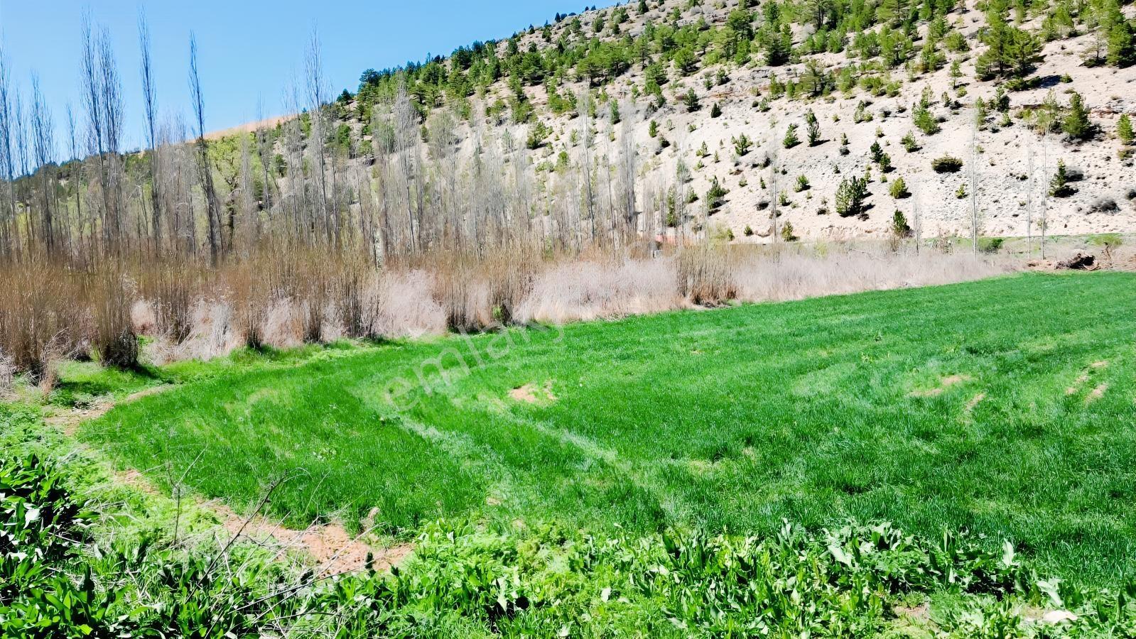 Başarakavak'ta Dere Kenarı 3068m2 Satılık Bahçe — fotoğraf 7
