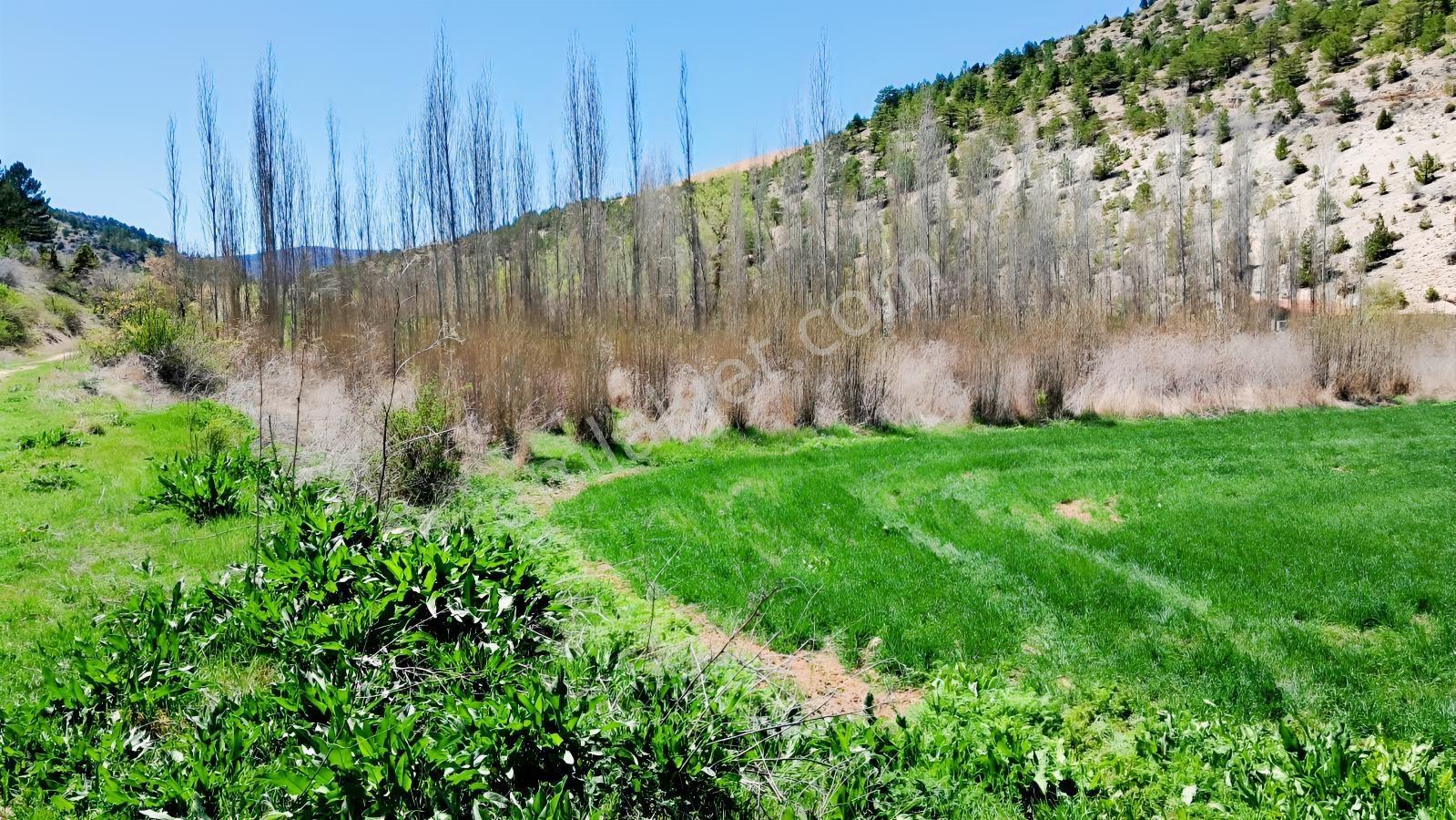 Başarakavak'ta Dere Kenarı 3068m2 Satılık Bahçe — fotoğraf 8