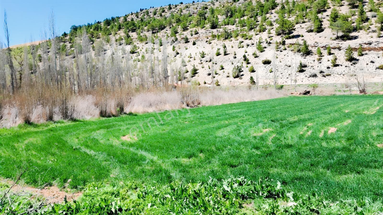 Başarakavak'ta Dere Kenarı 3068m2 Satılık Bahçe — fotoğraf 9