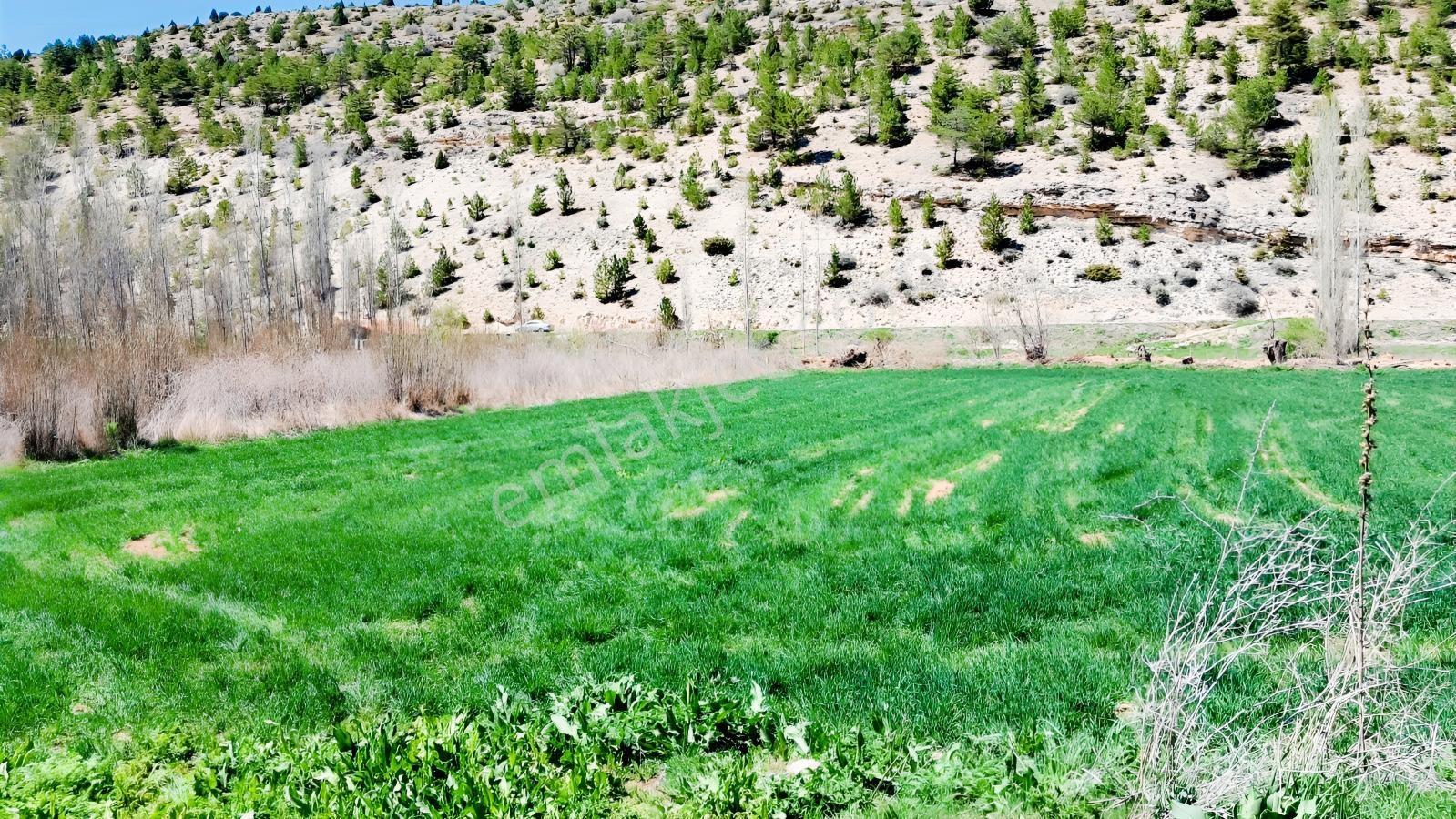 Başarakavak'ta Dere Kenarı 3068m2 Satılık Bahçe — fotoğraf 10