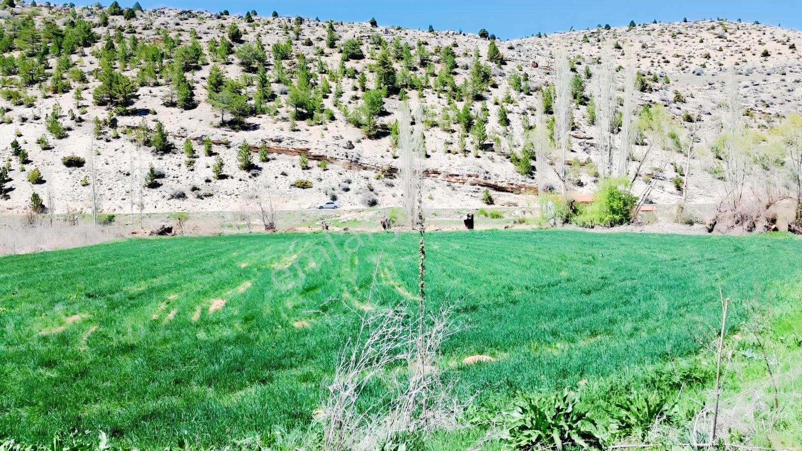 Başarakavak'ta Dere Kenarı 3068m2 Satılık Bahçe — fotoğraf 11
