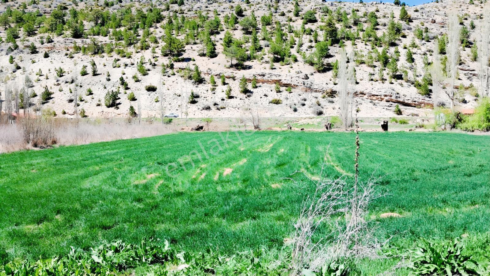 Başarakavak'ta Dere Kenarı 3068m2 Satılık Bahçe — fotoğraf 12