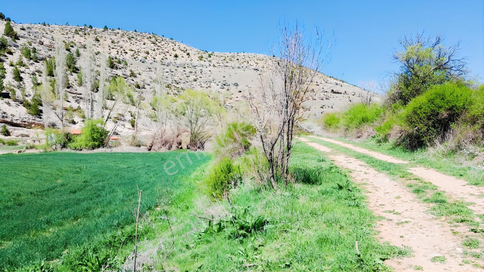 Başarakavak'ta Dere Kenarı 3068m2 Satılık Bahçe — fotoğraf 13