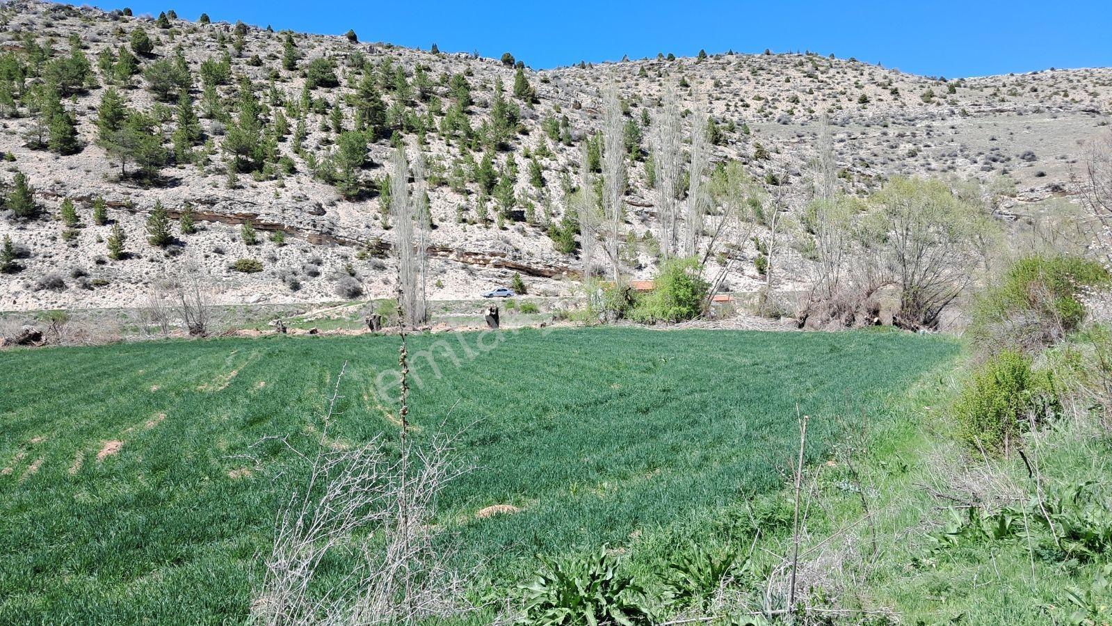 Başarakavak'ta Dere Kenarı 3068m2 Satılık Bahçe — fotoğraf 14