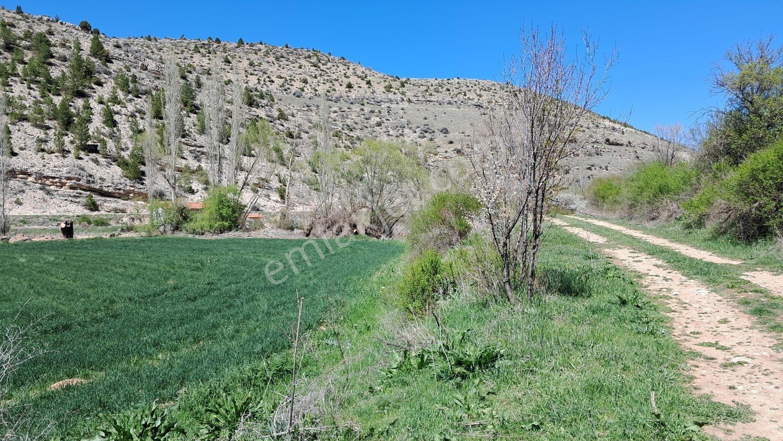 Başarakavak'ta Dere Kenarı 3068m2 Satılık Bahçe — fotoğraf 15