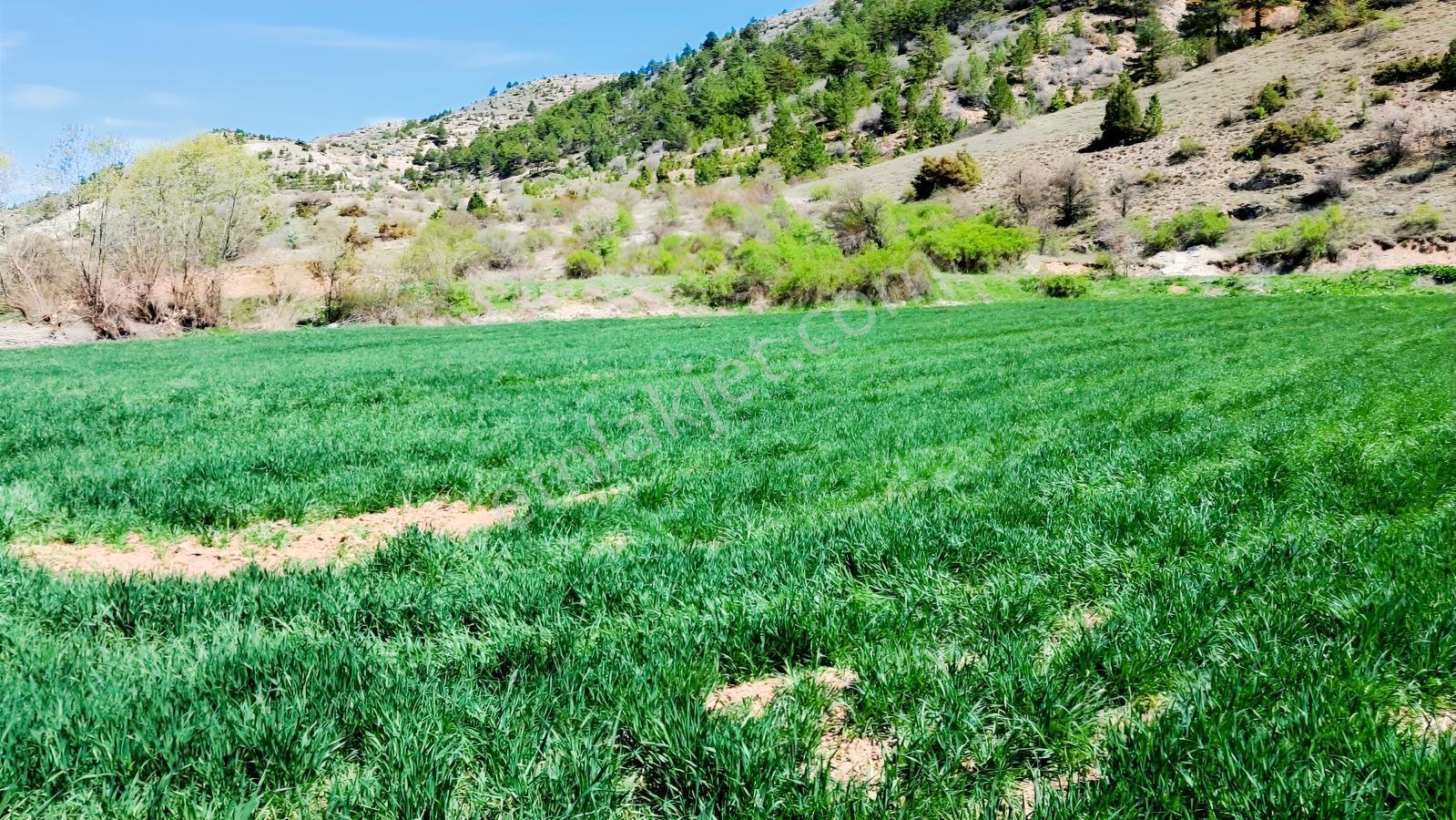 Başarakavak'ta Dere Kenarı 3068m2 Satılık Bahçe — fotoğraf 16