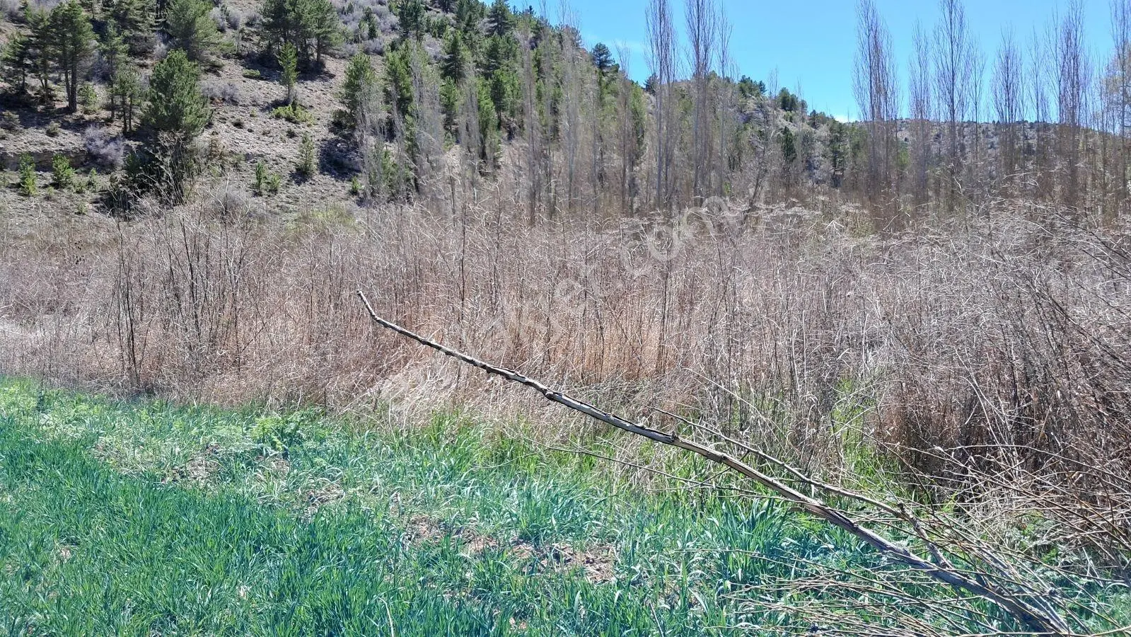 Başarakavak'ta Dere Kenarı 3068m2 Satılık Bahçe — fotoğraf 18