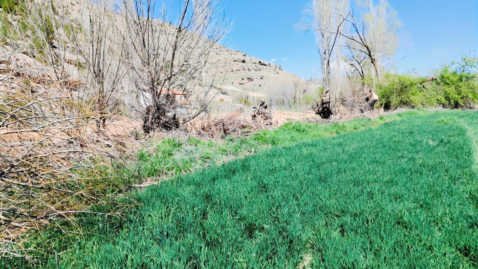 Başarakavak'ta Dere Kenarı 3068m2 Satılık Bahçe — fotoğraf 19
