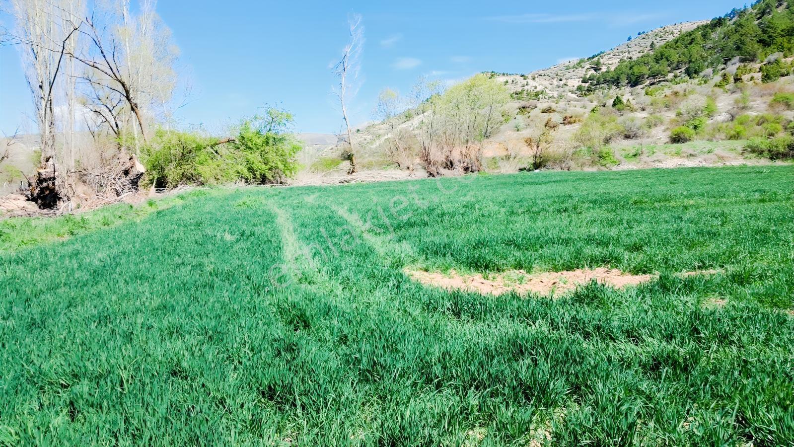 Başarakavak'ta Dere Kenarı 3068m2 Satılık Bahçe — fotoğraf 20