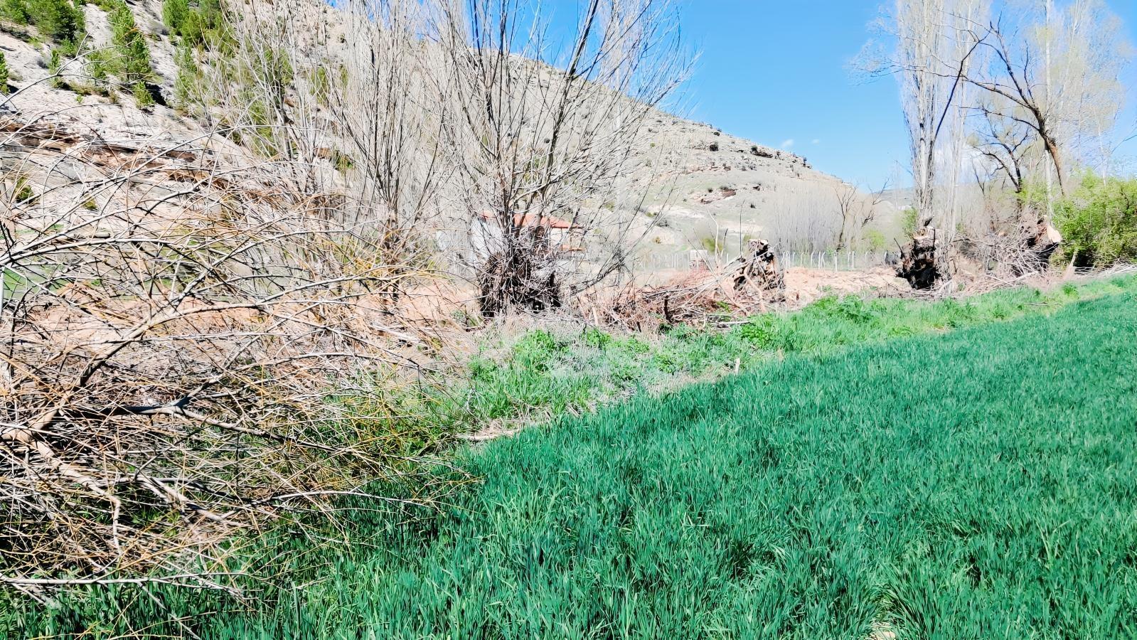 Başarakavak'ta Dere Kenarı 3068m2 Satılık Bahçe — fotoğraf 21