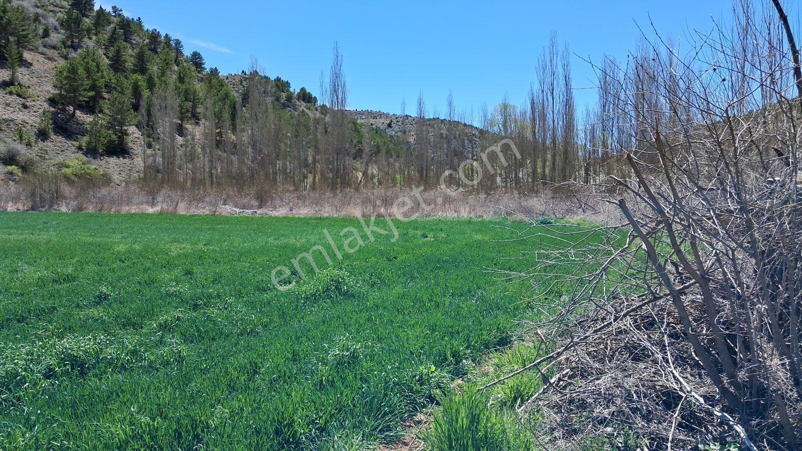 Başarakavak'ta Dere Kenarı 3068m2 Satılık Bahçe — fotoğraf 22