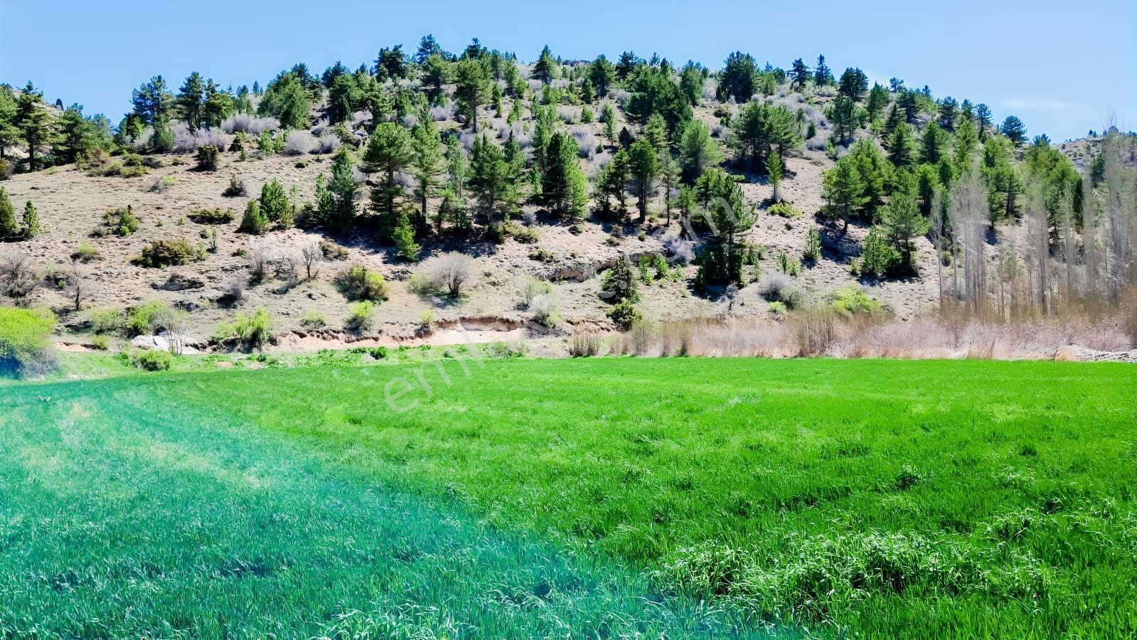 Başarakavak'ta Dere Kenarı 3068m2 Satılık Bahçe — fotoğraf 23