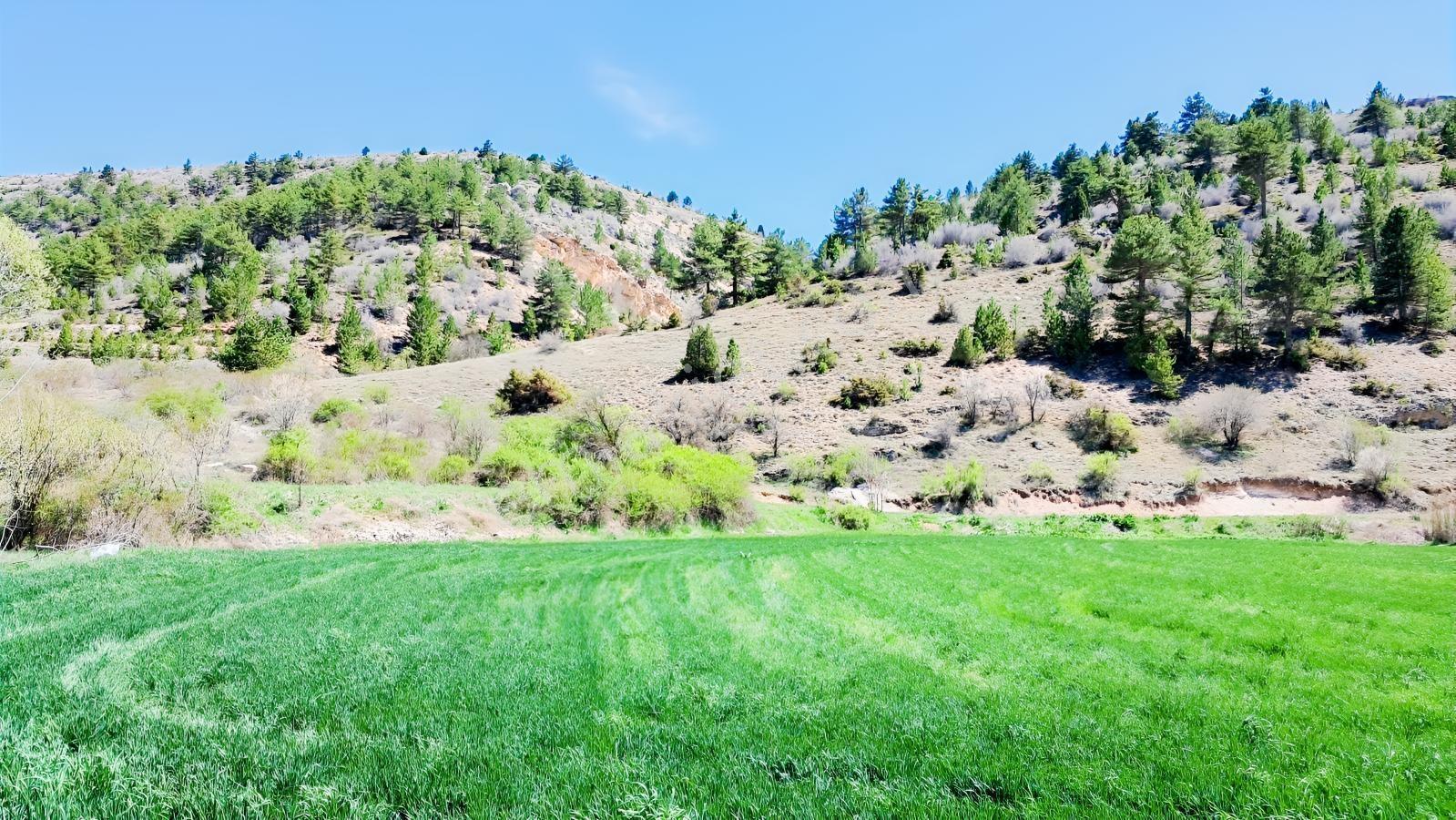 Başarakavak'ta Dere Kenarı 3068m2 Satılık Bahçe — fotoğraf 24