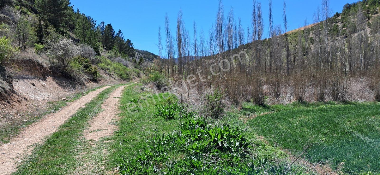 Başarakavak'ta Dere Kenarı 3068m2 Satılık Bahçe — fotoğraf 25