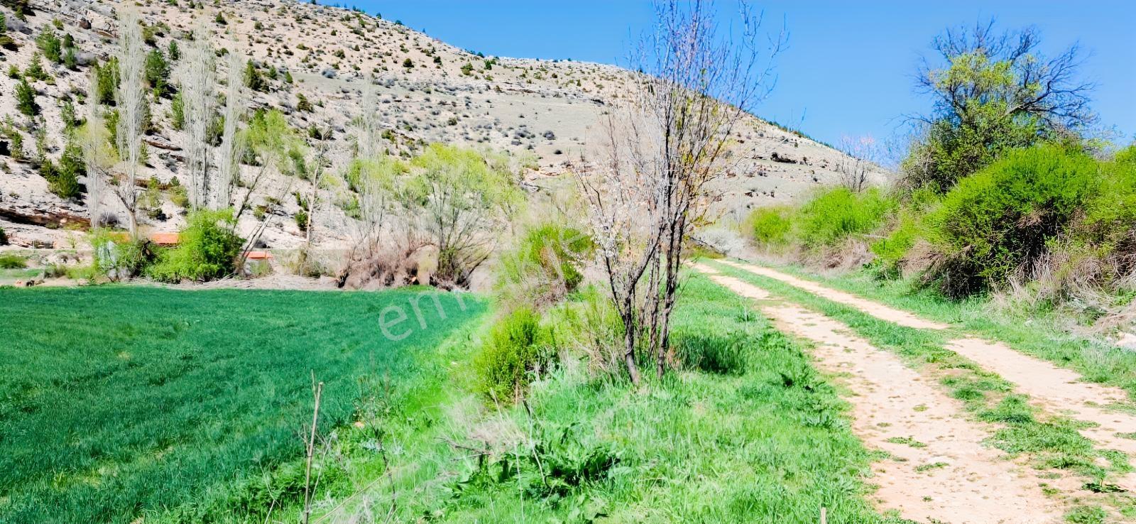 Başarakavak'ta Dere Kenarı 3068m2 Satılık Bahçe — fotoğraf 27