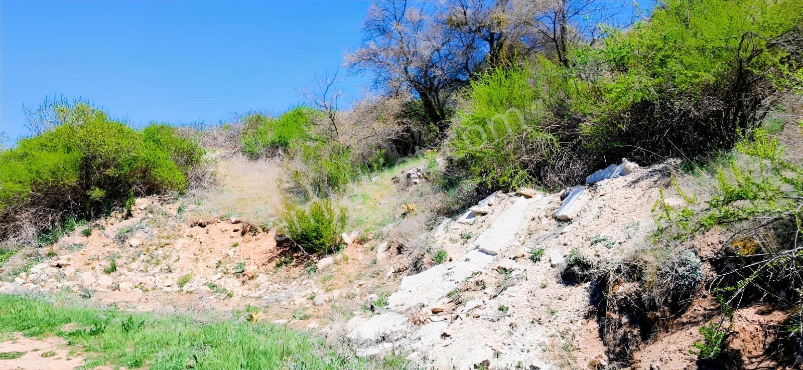 Başarakavak'ta Dere Kenarı 3068m2 Satılık Bahçe — fotoğraf 29