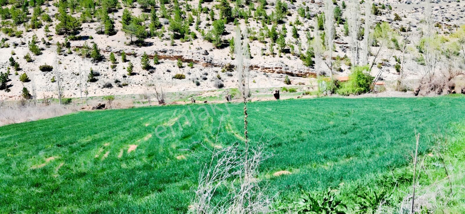 Başarakavak'ta Dere Kenarı 3068m2 Satılık Bahçe — fotoğraf 30