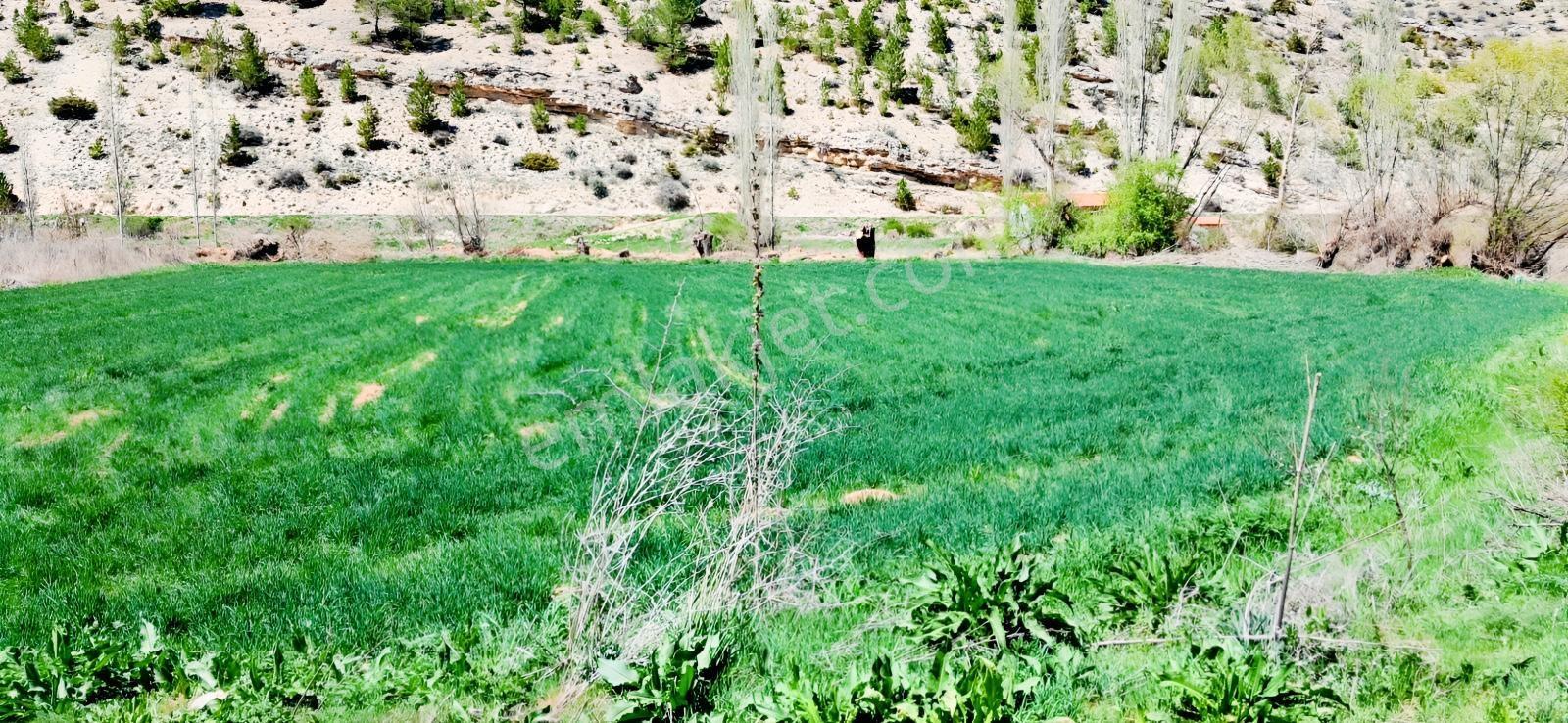 Başarakavak'ta Dere Kenarı 3068m2 Satılık Bahçe — fotoğraf 31
