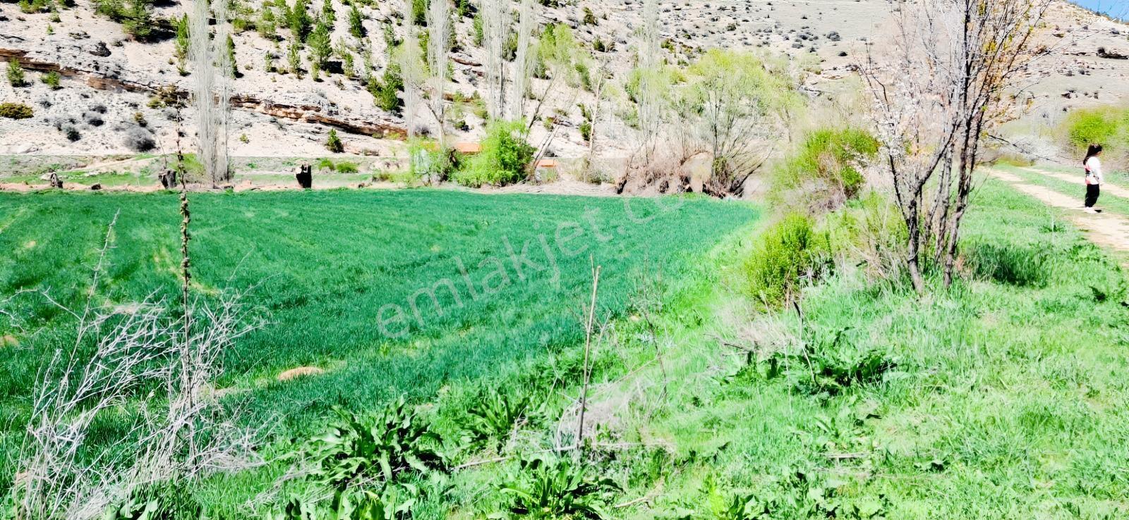 Başarakavak'ta Dere Kenarı 3068m2 Satılık Bahçe — fotoğraf 32