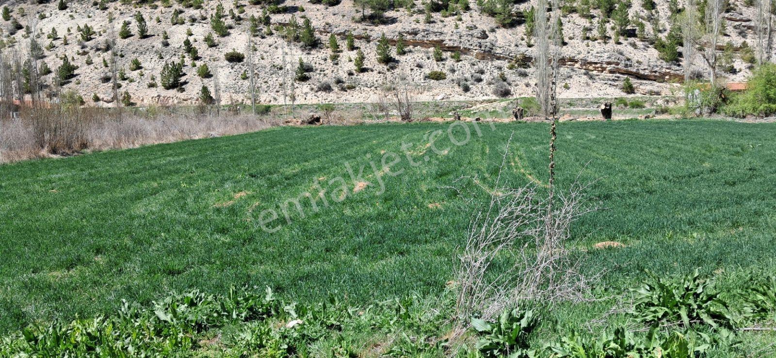 Başarakavak'ta Dere Kenarı 3068m2 Satılık Bahçe — fotoğraf 33