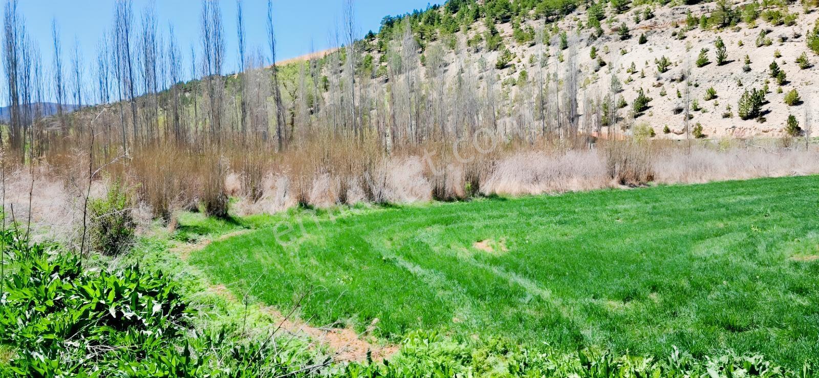 Başarakavak'ta Dere Kenarı 3068m2 Satılık Bahçe — fotoğraf 34