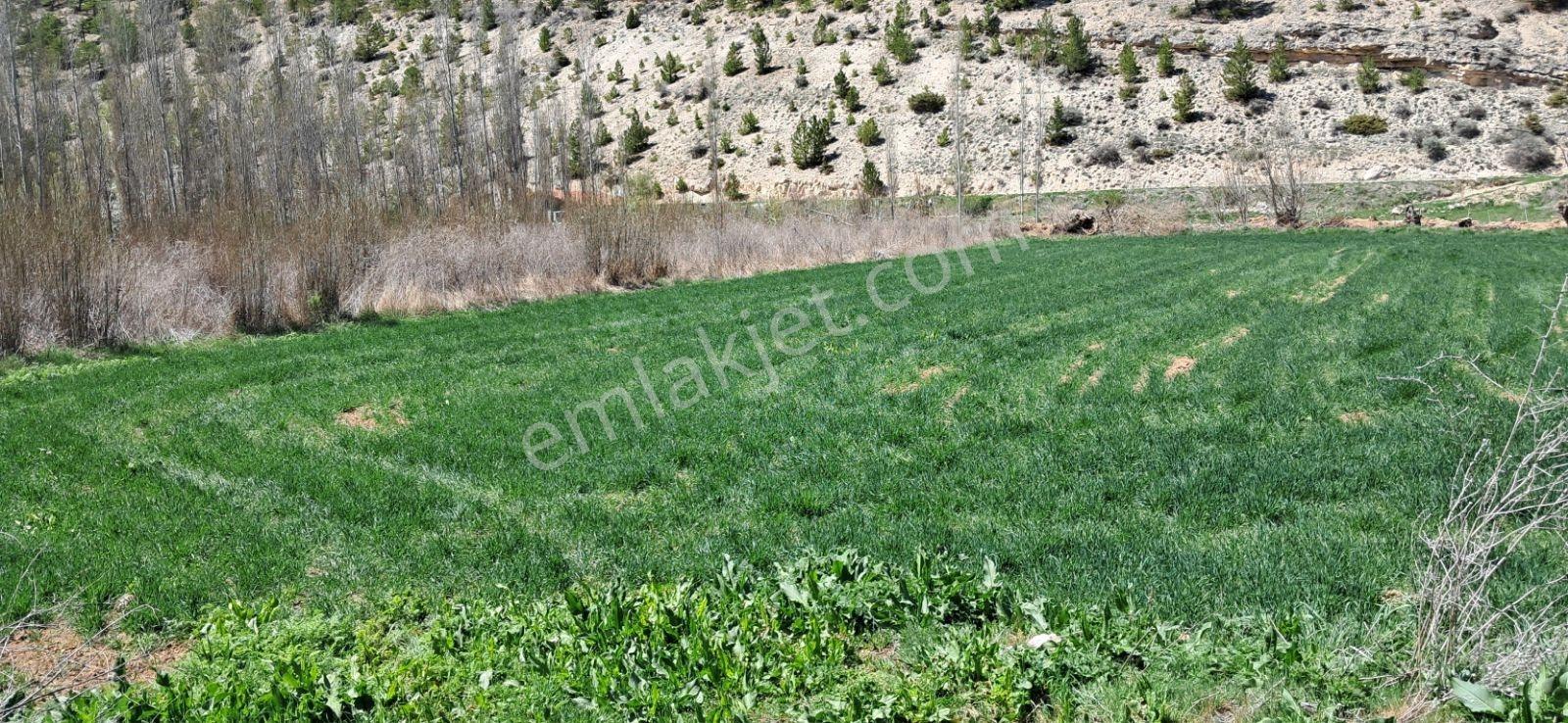 Başarakavak'ta Dere Kenarı 3068m2 Satılık Bahçe — fotoğraf 35