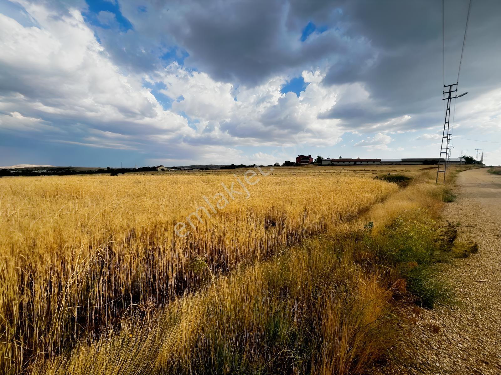Çayırbağı Kuran Kursu Yanında 2 Kat İmarlı 14160m2 Satılık Arsa — fotoğraf 5