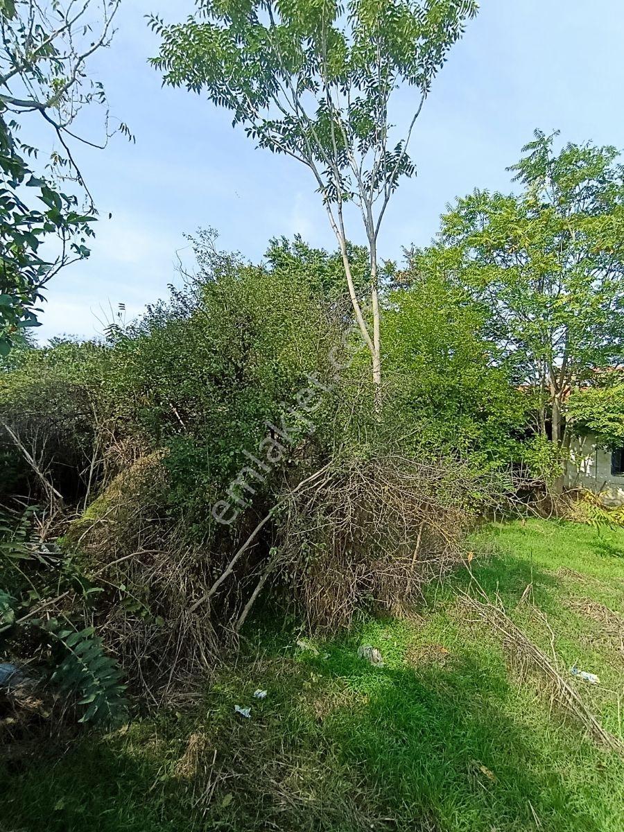 Kasreviden İcerisinde Ev Bulunan Ticari+konut İmarlı 244m2 Arsa — fotoğraf 2
