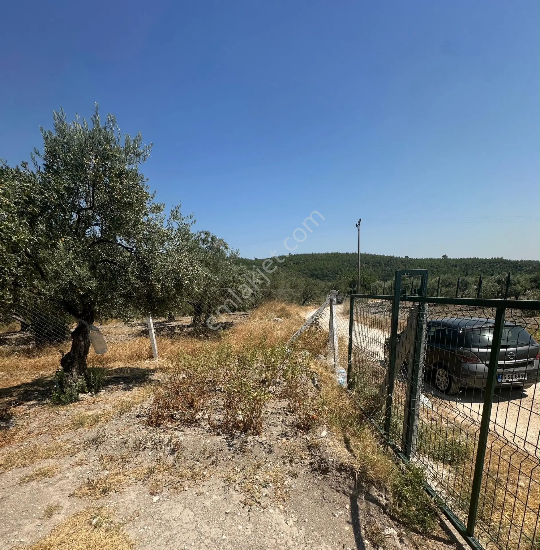 Akhisar Süleymanköyde 250 M2 Etrafı Çevrili Hobi Bahçesi — fotoğraf 4