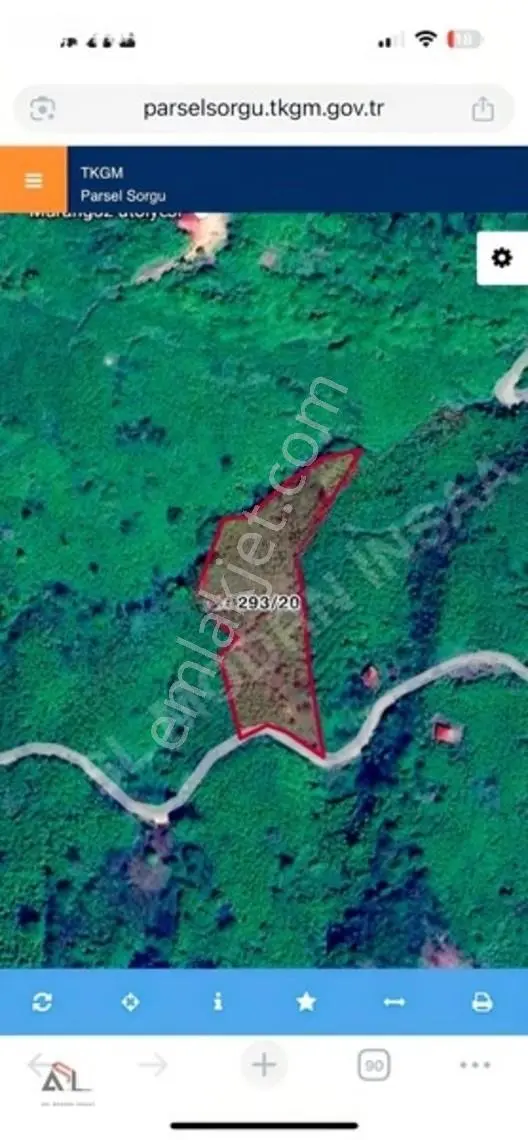 Ordu Perşembe Saray Mah.çok Geniş 10,445 M2 Fındık Bahçesi — fotoğraf 7