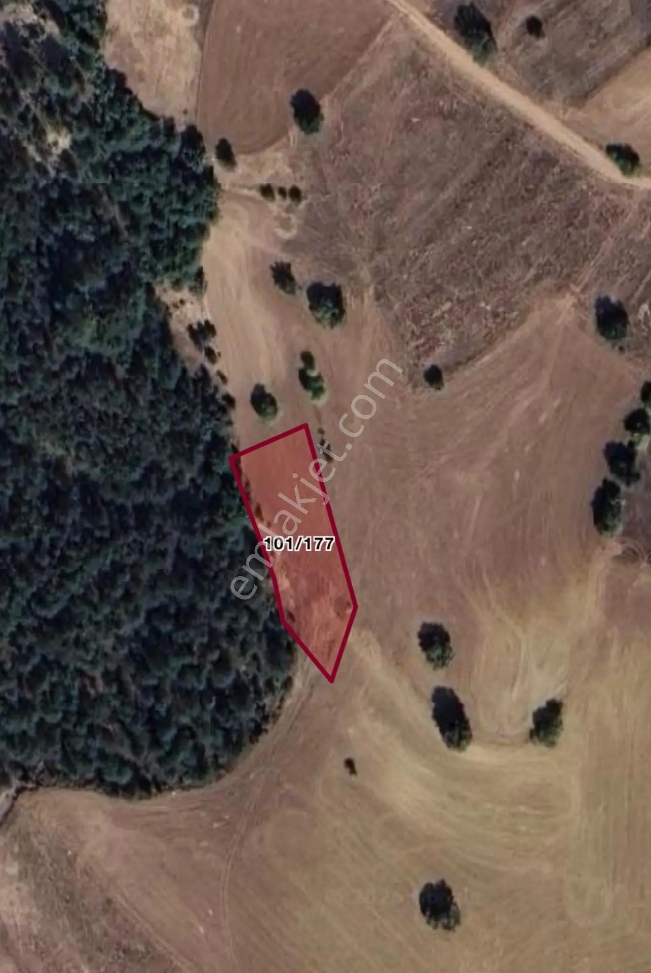 Bilecik Yenipazar Kösüre Köyünde 1.440 M² Yatırımlık Tarla
