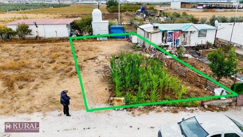 İzmir Menderes Tekelide Elektrik Sulu 250 M2 Koopretif Bahçeler — fotoğraf 3