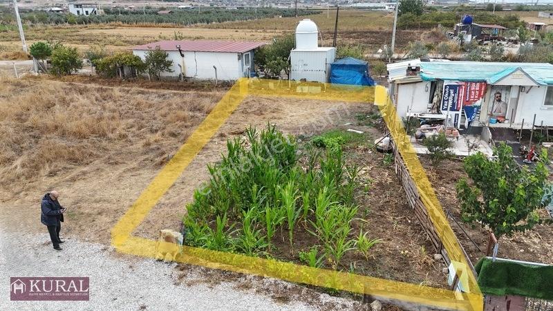 İzmir Menderes Tekelide Elektrik Sulu 250 M2 Koopretif Bahçeler — fotoğraf 4