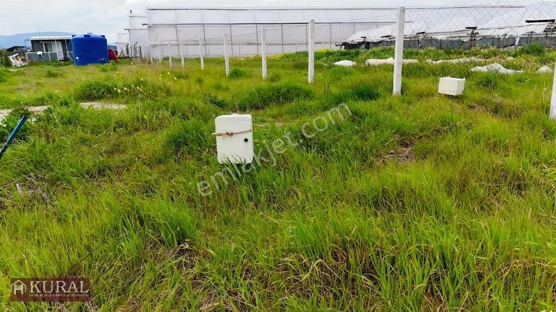 İzmir Menderes Tekelide Elektrik Sulu 250 M2 Koopretif Bahçeler — fotoğraf 14
