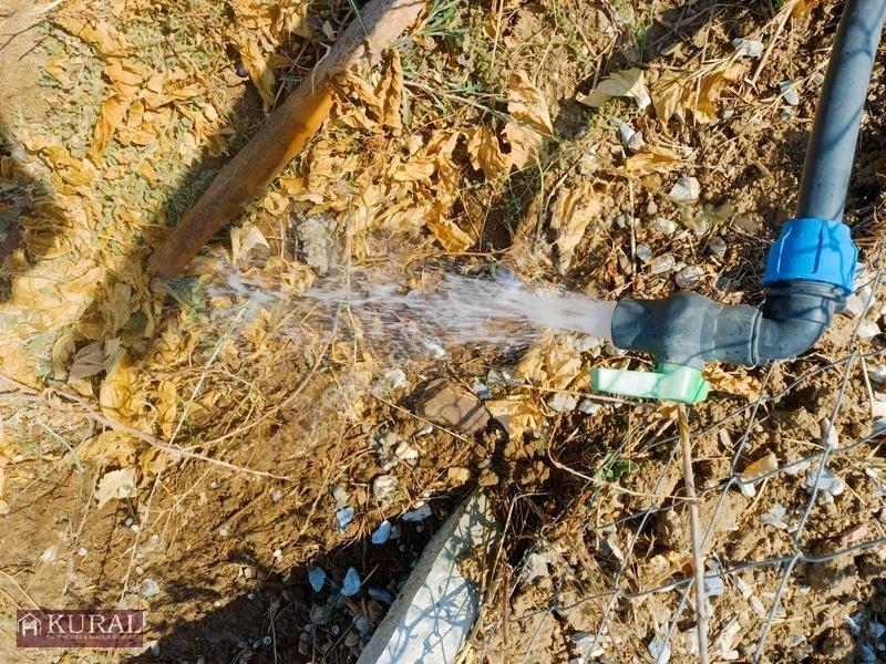 İzmir Menderes Tekelide Elektrik Sulu 250 M2 Koopretif Bahçeler — fotoğraf 15