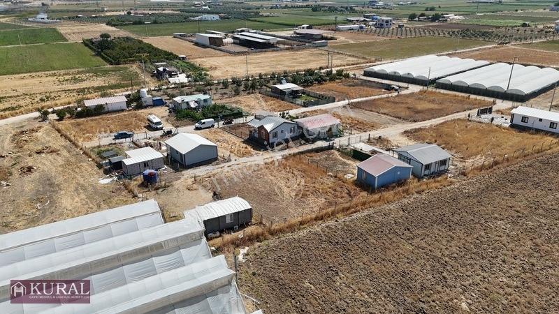 İzmir Menderes Tekelide Elektrik Sulu 250 M2 Koopretif Bahçeler — fotoğraf 18