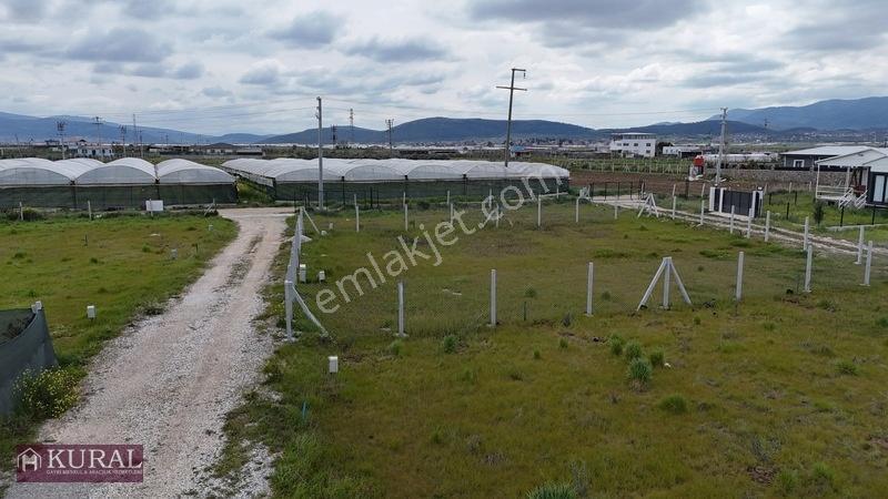 İzmir Menderes Tekelide Elektrik Sulu 250 M2 Koopretif Bahçeler — fotoğraf 24