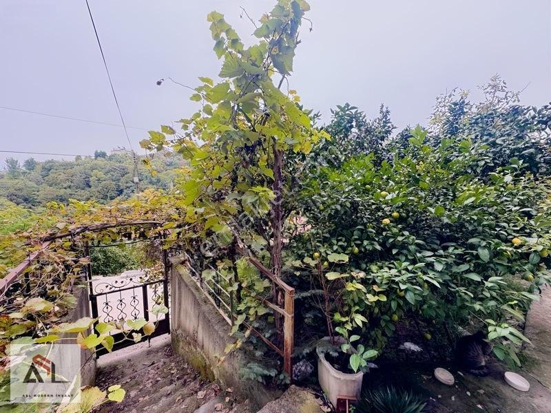 Ordu Perşembe Kozağzında Deniz Manzaralı Komple Bina — fotoğraf 7